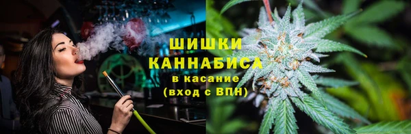 гашик Верея