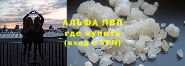 гашик Верея
