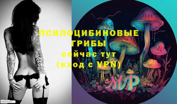 гашик Верея