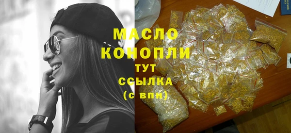 гашик Верея