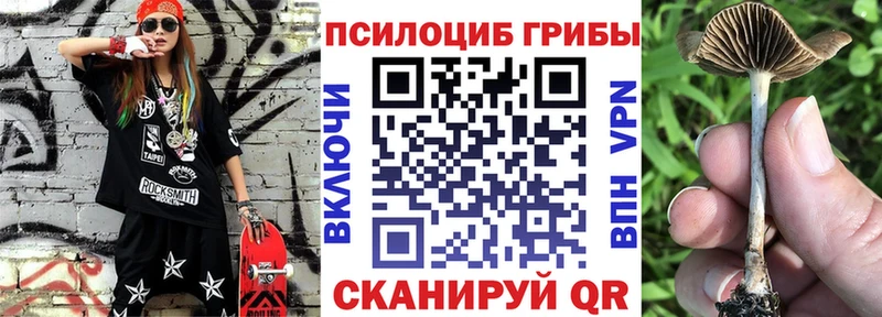 цены наркотик Снежинск Галлюциногенные грибы мухоморы